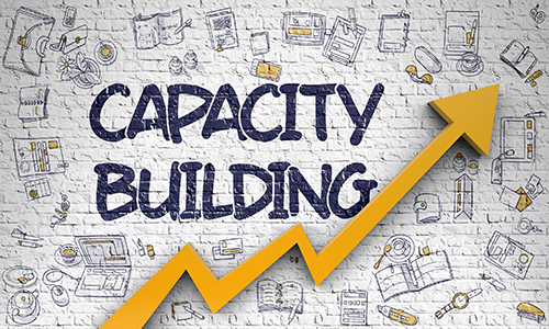 Capacity Building and Training Programs